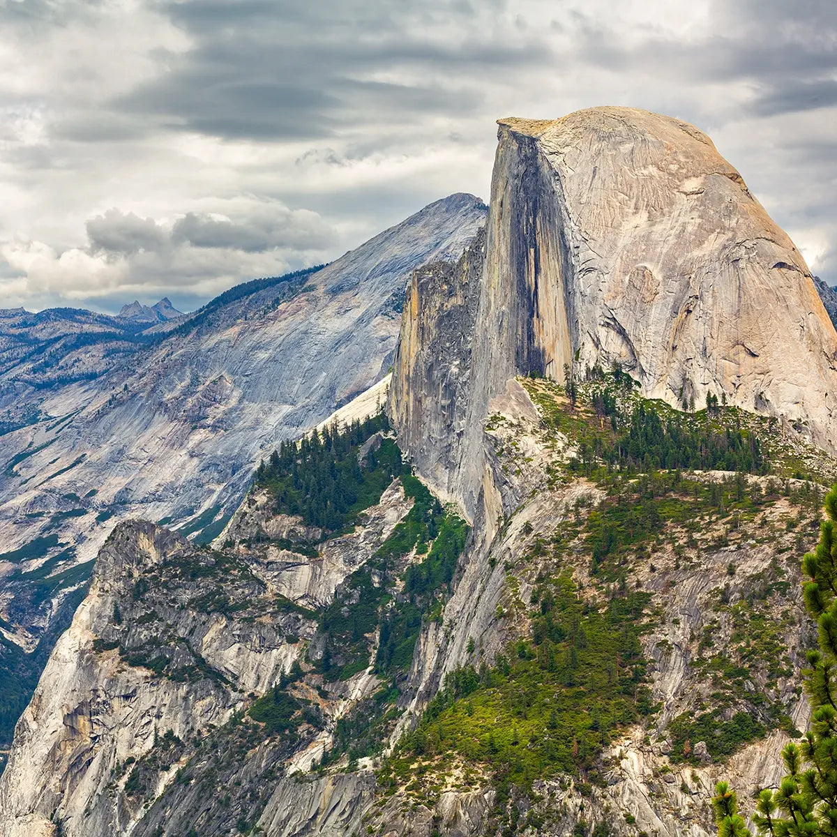 Nature & Landscapes