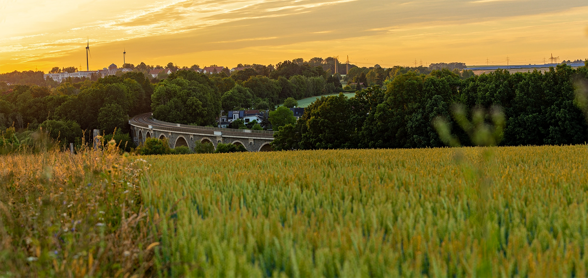 Sunset over a field with a bridge and trees in the background