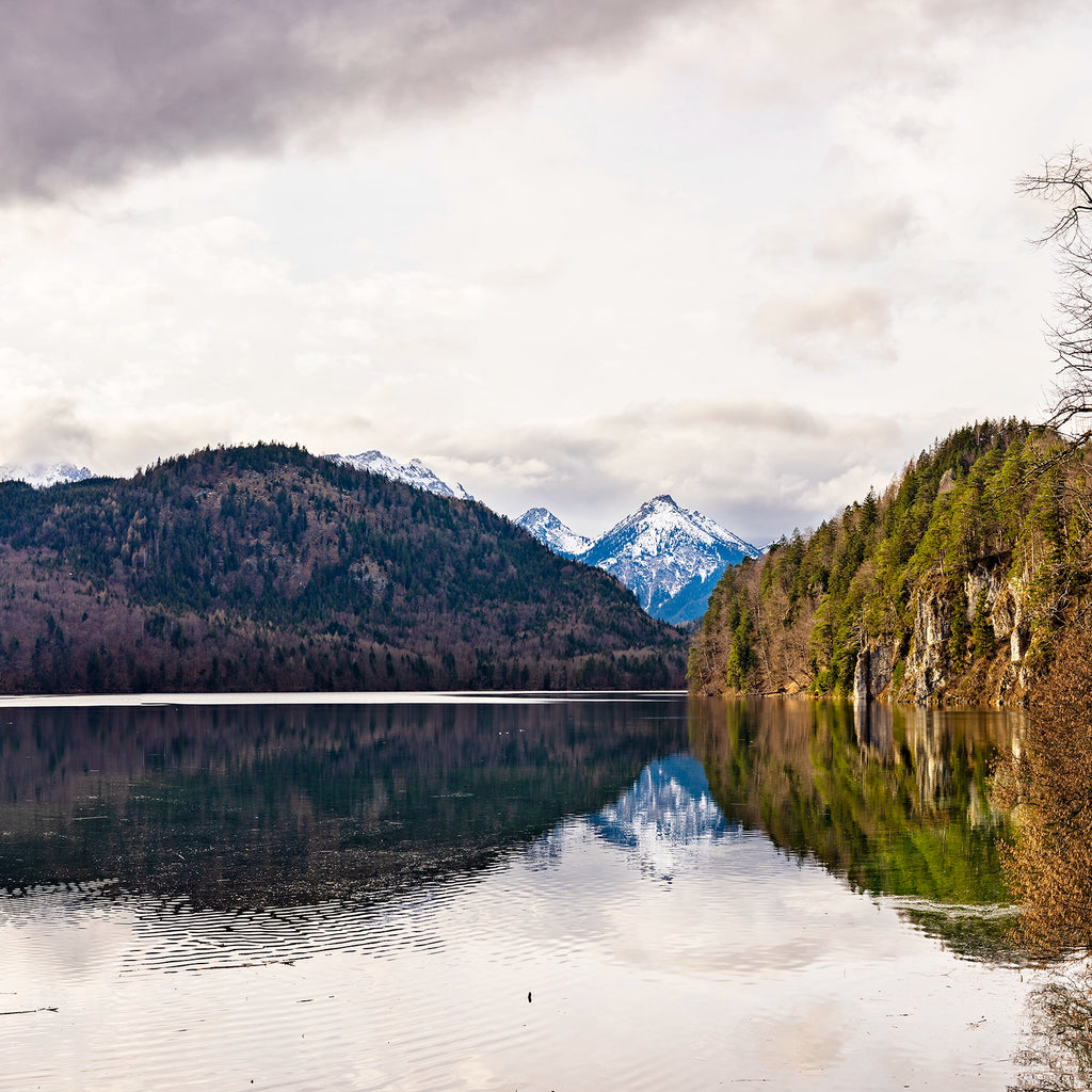 Reflections of Serenity